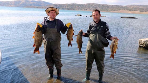 Avrupa ve Orta Doğu Ülkelerine Yozgat'tan Balık İhracatı