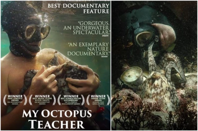 My Octopus Teacher (Ahtapottan Öğrendiklerim)