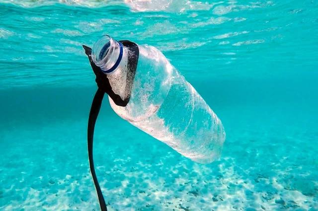 Denizlerimizde Plastik Kirliliğini Çözmenin 5 Yolu