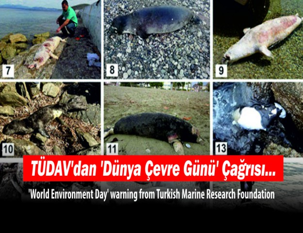 TÜDAV'dan 'Dünya Çevre Günü' Çağrısı...