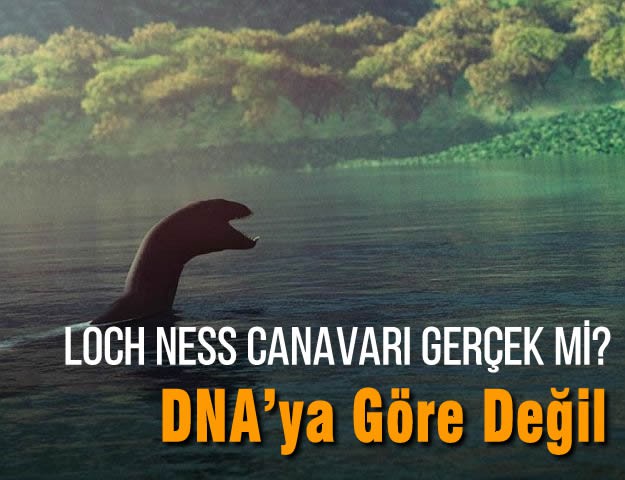 Loch Ness Canavarı Gerçek mi? DNA’ya Göre Değil