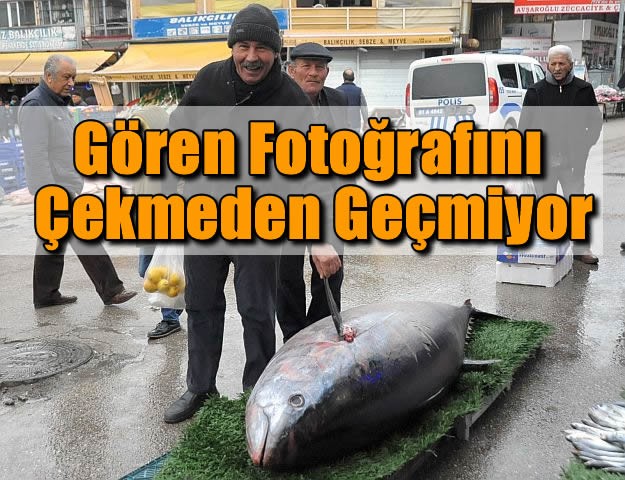 Gören Fotoğrafını Çekmeden Geçmiyor