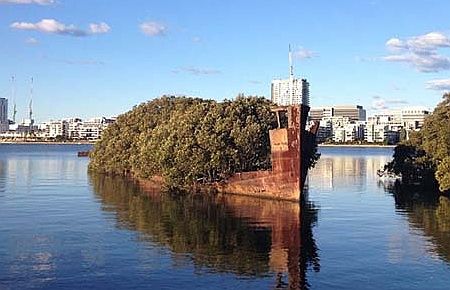  102 yıllık orman gemisi