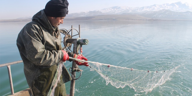 Van Erçek köyünde İnci Kefal'i sevinci