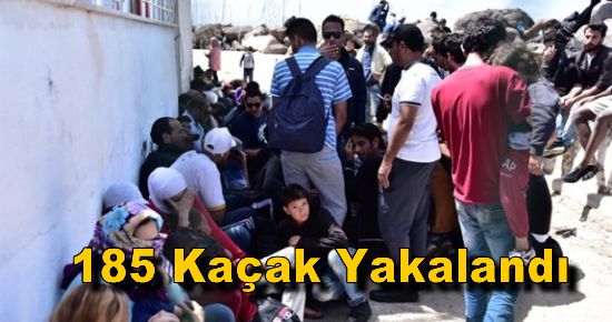 185 Kaçak Yakalandı