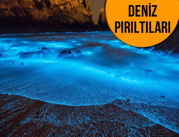 Deniz Pırıltıları