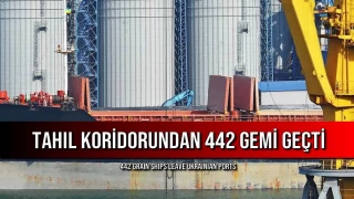 Tahıl Koridorundan 442 Gemi Geçti