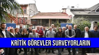 Kritik Görevler Surveyorların