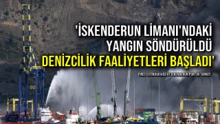 'İskenderun Limanı'ndaki Yangın Söndürüldü, Denizcilik Faaliyetleri Başladı'