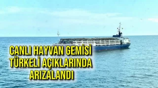 Canlı Hayvan Gemisi Türkeli Açıklarında Arızalandı