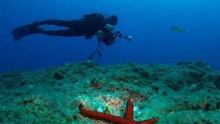 22. Uluslararası Kemer Su Altı Günleri