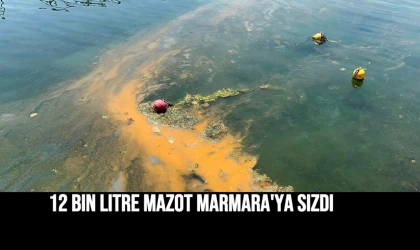 12 bin litre mazot Marmara'ya sızdı