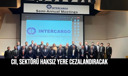 CII Mevcut Haliyle Sektörü Haksız Yere Cezalandıracak