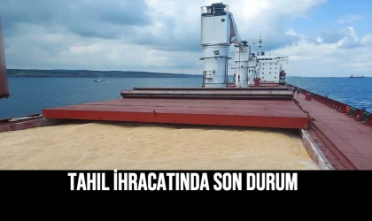 Tahıl İhracatında Son Durum