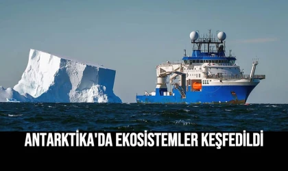 Antarktika'da Ekosistemler Keşfedildi