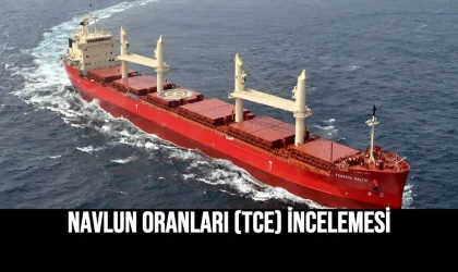 Navlun Oranları (TCE) İncelemesi