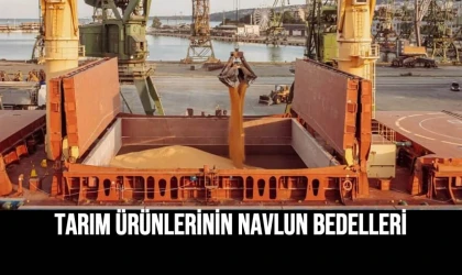 Tarım Ürünlerinin Navlun Bedelleri