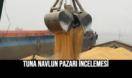Tuna Navlun Pazarı İncelemesi