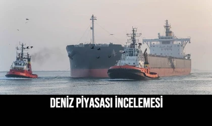 Deniz Piyasası İncelemesi