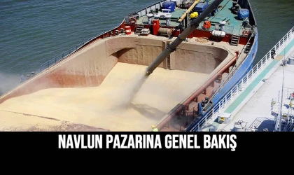 Navlun Pazarına Genel Bakış