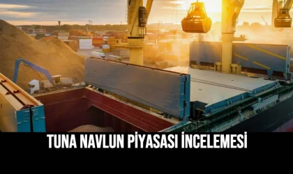 Tuna Navlun Piyasası İncelemesi