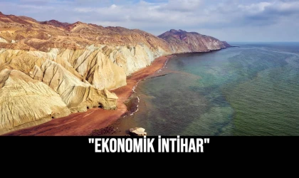 "Ekonomik İntihar"