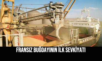 Fransız Buğdayının İlk Sevkiyatı