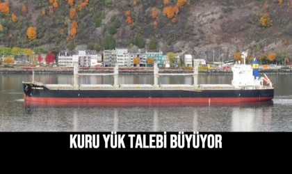 Story Haber