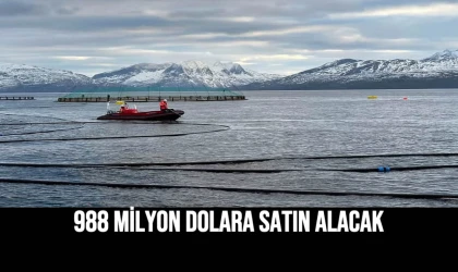 988 Milyon Dolara Satın Alacak