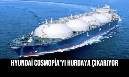Hyundai Cosmopia'yı Hurdaya Çıkarıyor