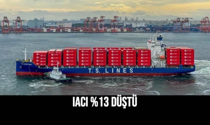 IACI %13 Düştü