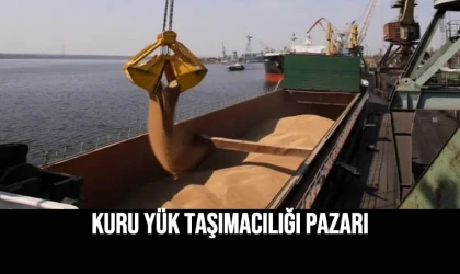 Kuru Yük Taşımacılığı Pazarı