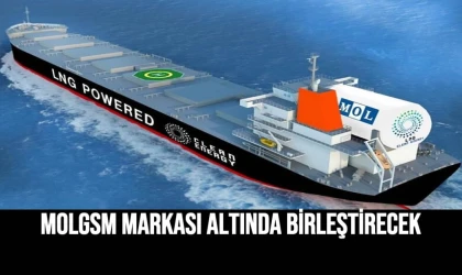 MOLGSM Markası Altında Birleştirecek