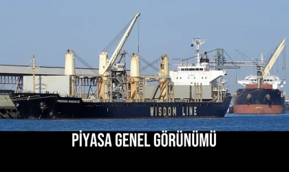 Piyasa Genel Görünümü