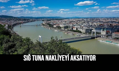 Sığ Tuna Nakliyeyi Aksatıyor
