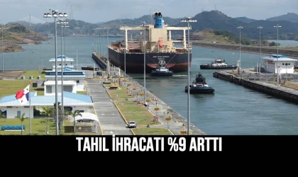Tahıl İhracatı %9 Arttı