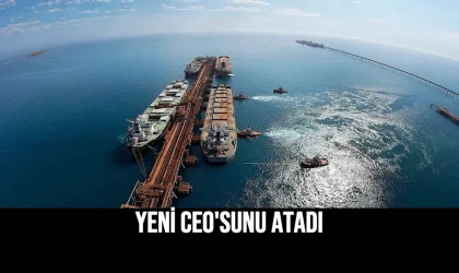Story Haber