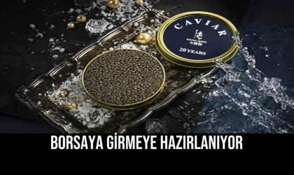 Borsaya Girmeye Hazırlanıyor