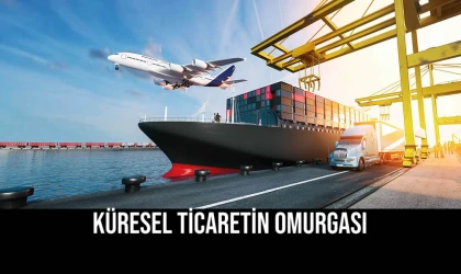 Küresel Ticaretin Omurgası