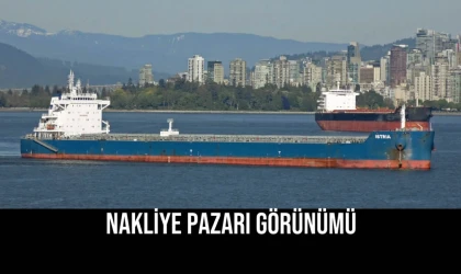 Nakliye Pazarı Görünümü
