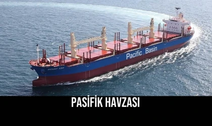 Pasifik Havzası