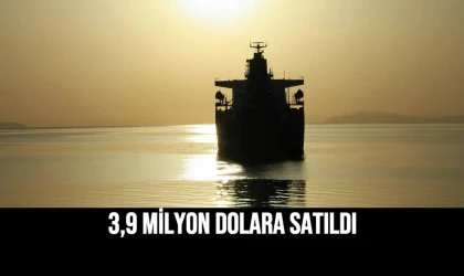 3,9 Milyon Dolara Satıldı