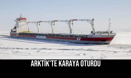 Arktik'te Karaya Oturdu