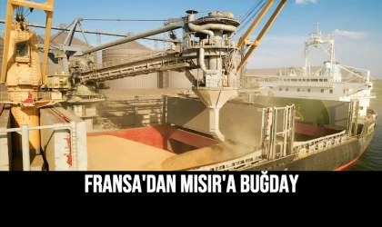 Fransa'dan Mısır'a Buğday