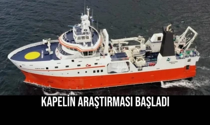 Kapelin Araştırması Başladı