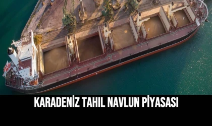 Karadeniz Tahıl Navlun Piyasası