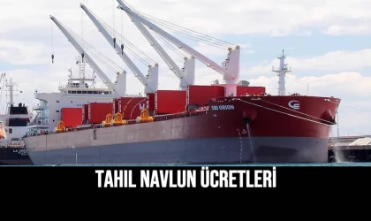 Tahıl Navlun Ücretleri