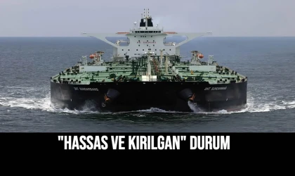 "Hassas ve Kırılgan" Durum