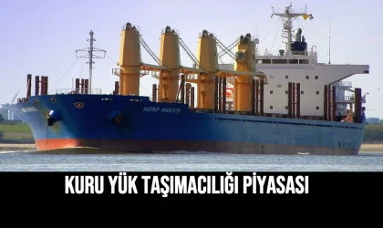 Kuru Yük Taşımacılığı Piyasası