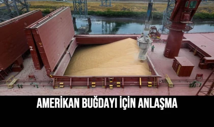 Amerikan Buğdayı İçin Anlaşma